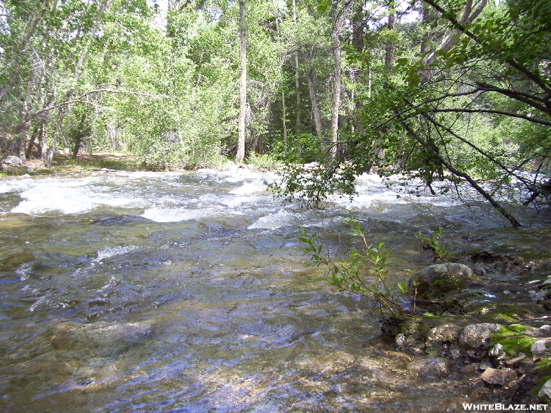 Colorado Trail Nobo Hwy 50 ~ Princeton Hot Springs