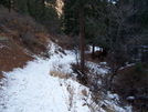 Columbine Trail North Cheyenne Canon Park 12-02-2008