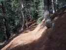 Columbine Trail North Cheyenne Canon Park 12-02-2008