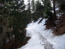 Columbine Trail North Cheyenne Canon Park 12-02-2008