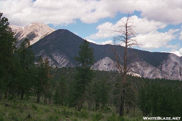 Colorado Trail NOBO Hwy 50 ~ Princeton Hot Springs