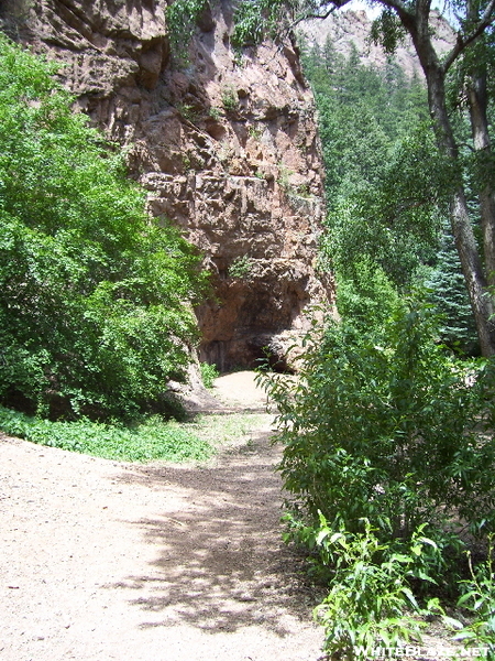 Columbine Trail North Cheyenne Canon Park 07-03-2008, Colorado Springs, Co