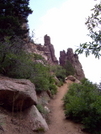 Columbine Trail North Cheyenne Canon Park 07-03-2008, Colorado Springs, Co