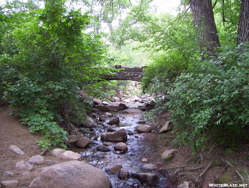 Columbine Trail North Cheyenne Canon Park 07-03-2008, Colorado Springs, Co