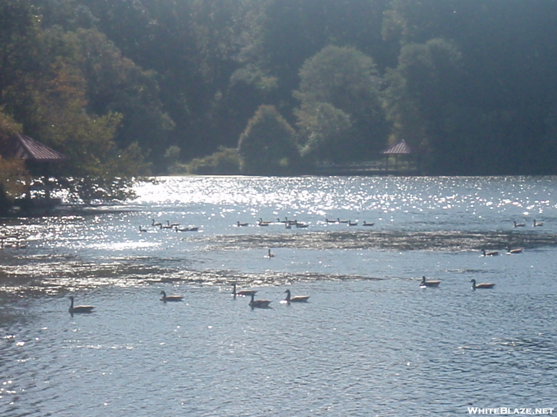 Columbia Md Lake Trails