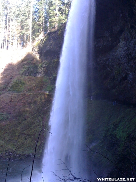 Silver Falls Oregon