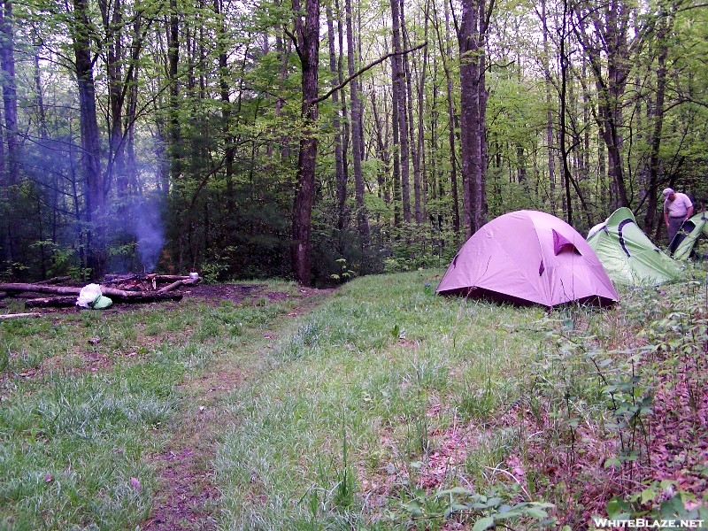 Campsite Near Bluff Mtn