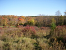 Harriman State Park And Clarence Fahnestock State Park In Ny