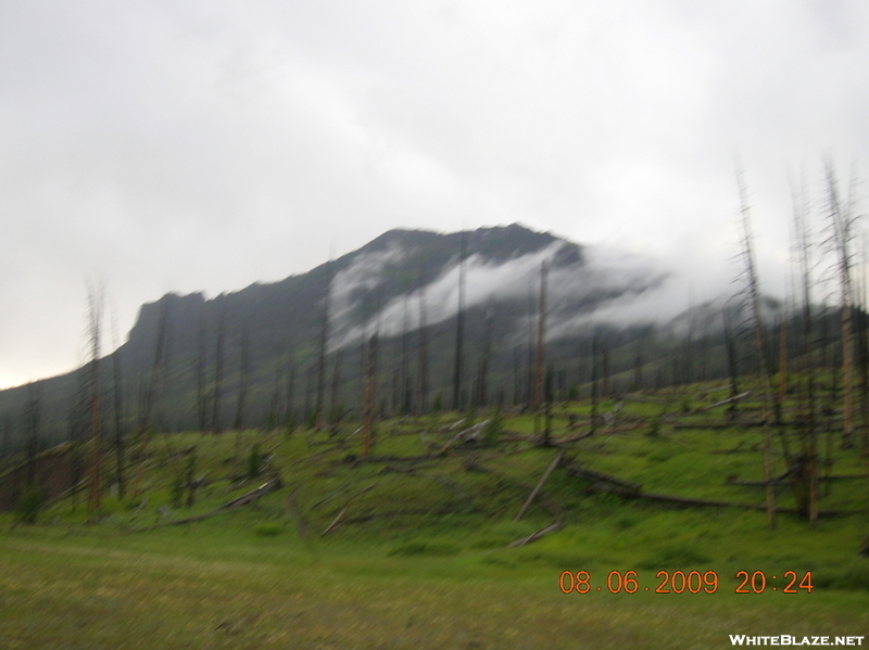 Yellowstone