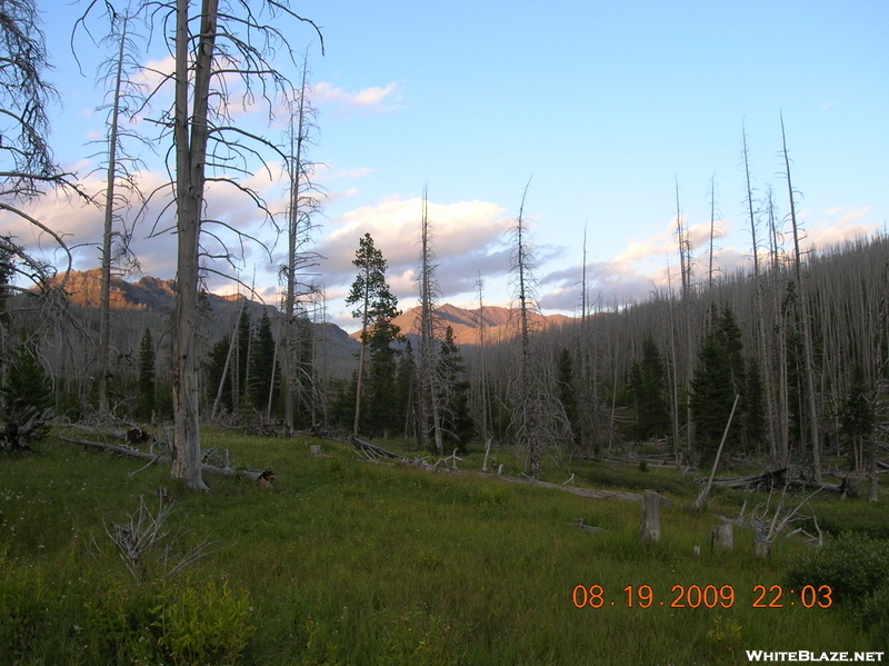 Yellowstone