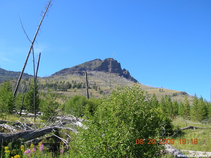 Yellowstone