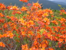 Views From Appalachian Trail (carver's Gap) Nc-tn