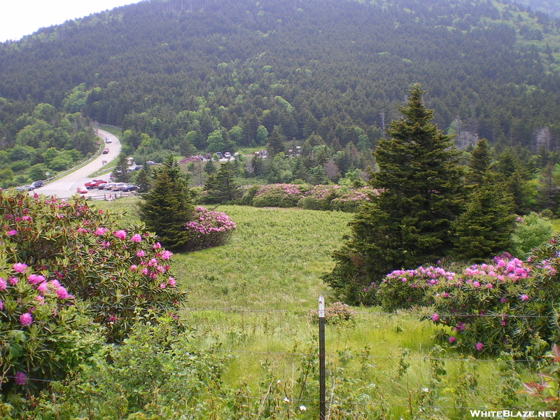 Views From Appalachian Trail (carver's Gap) Nc-tn