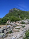 Lions Head Trail, Mt. Washington Nh by rdsoxfan in Other Galleries