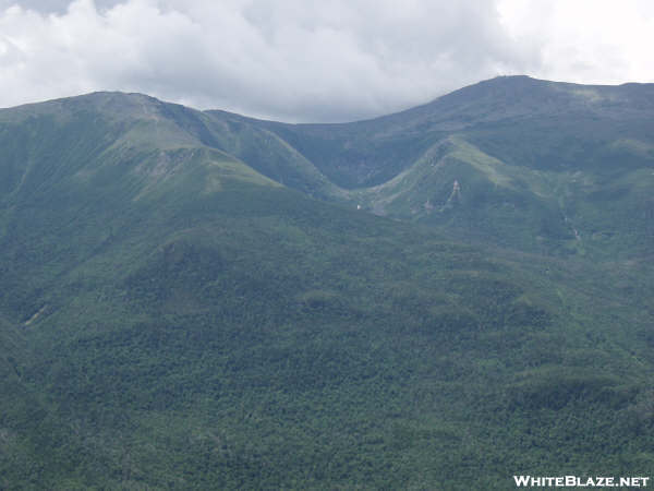 Top Of Wildcat Mt. In Nh