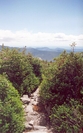 Lions Head Trail, Mt. Washington, Nh by rdsoxfan in Other Galleries