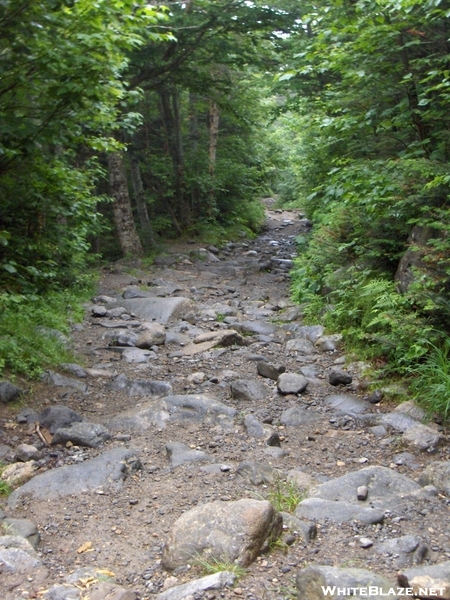 Tuckermans Ravine Trail, Mt. Washington, Nh