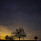 Starry Night on the Appalachian Trail