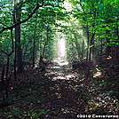 The AT near Hump Mtn by Heald in Views in Virginia & West Virginia