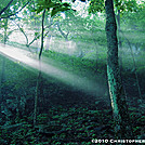 The AT near Hump Mtn by Heald in Views in Virginia & West Virginia