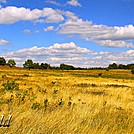 Big Meadows by Heald in Views in Virginia & West Virginia