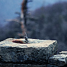 Fountain by Heald in Views in Virginia & West Virginia
