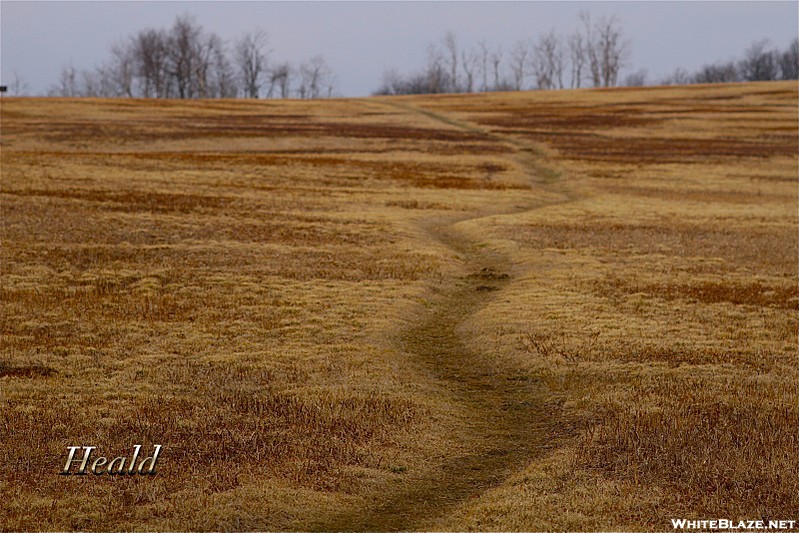 Big Meadows