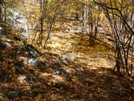 Pack Monadnock by RedDogPatch in Views in New Hampshire