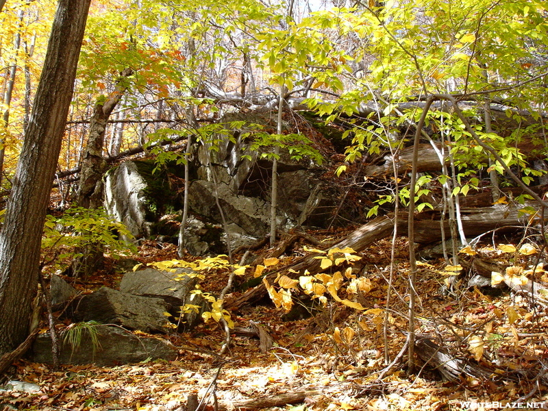 Pack Monadnock