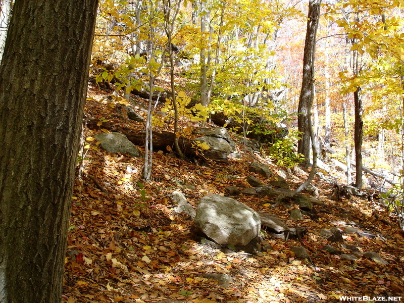 Pack Monadnock