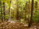 Pack Monadnock by RedDogPatch in Views in New Hampshire