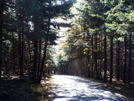 Pack Monadnock