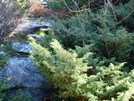 Pack Monadnock by RedDogPatch in Views in New Hampshire