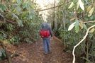 Jurassic Pack Carrying His Petrified Backpack by Barge in Section Hikers