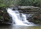 Lick Log Creek Near The Chattooga River