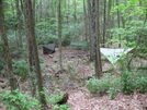 Hammock Setup Near Albert Mountain