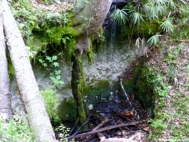 Torreya State Park