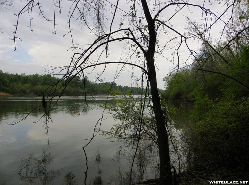 Torreya State Park