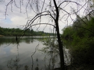 Torreya State Park by Ladytrekker in Florida Trail