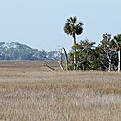 'FT - St. Marks by Ladytrekker in Florida Trail