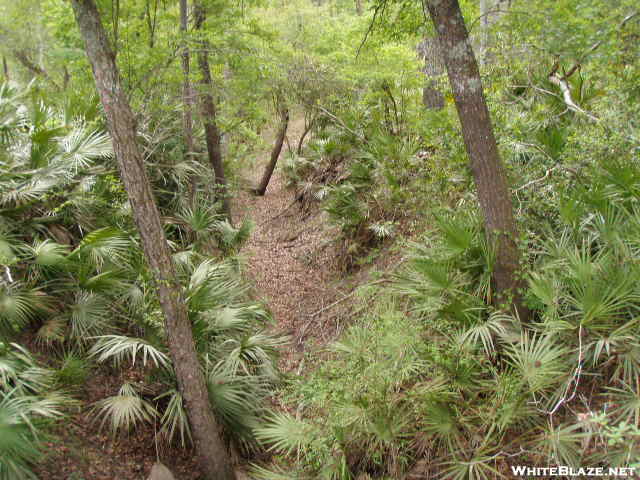 Big Shoals Florida Trail