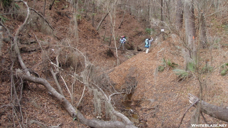 Florida Trail Along The Suwannee River