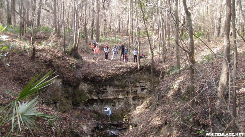 Florida Trail Along The Suwannee River