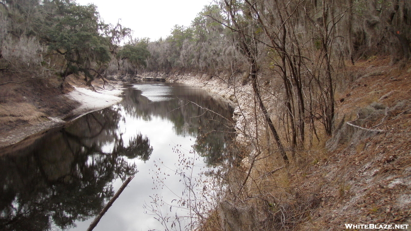 Florida Trail Along The Suwannee River