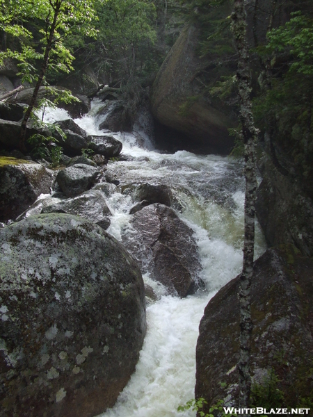 At Maine July 2009