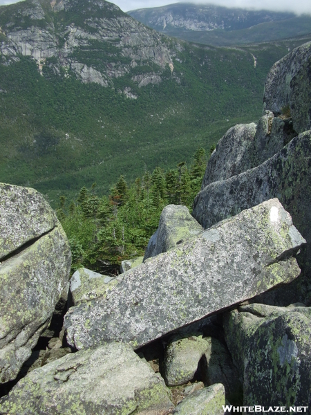 At Maine July 2009