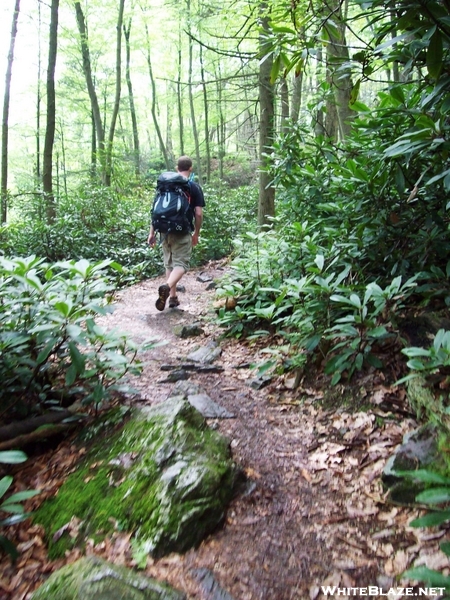 Delaware Water Gap