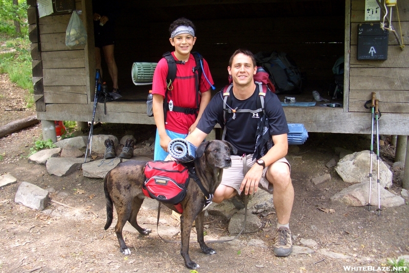 Seth, My Little Brother, Jack, My Dog, And Me