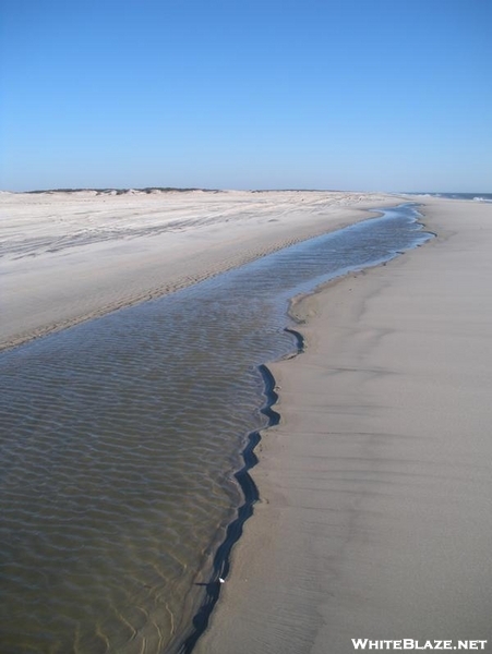 Assateague Island