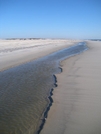 Assateague Island by Father Dragon in Other Trails